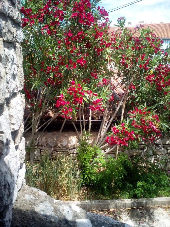 Konoba Yan Apartment Pula Bagian luar foto